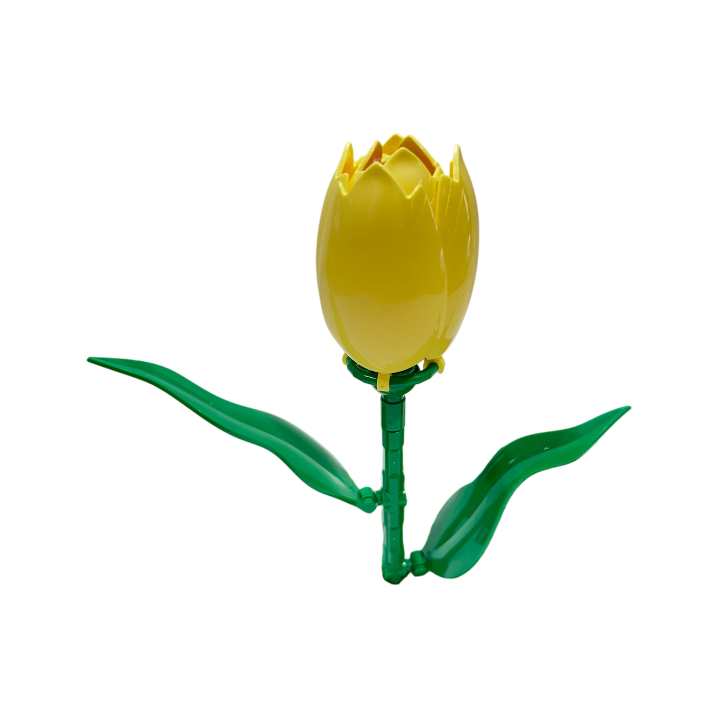 WOMA Tulpe / Tulip 11543