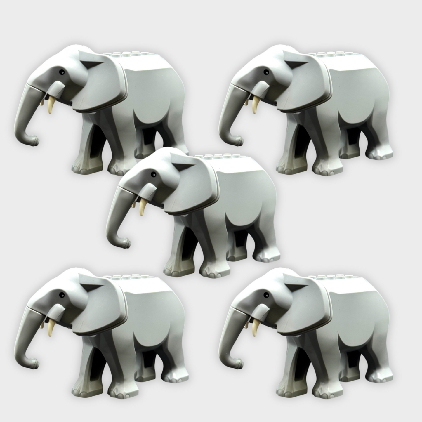 Elefant