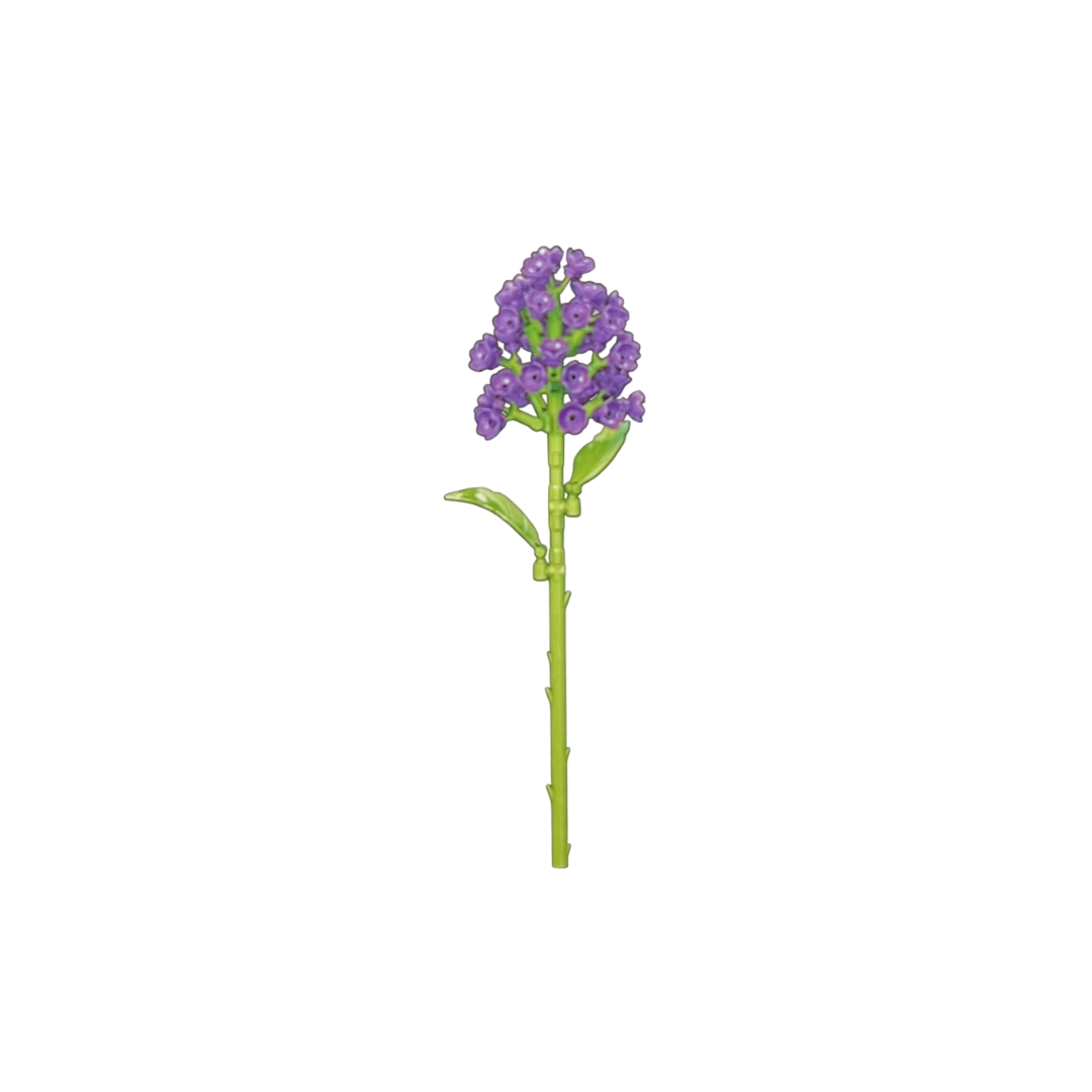 Schmetterlingsflieder / Violet Lilac 11543