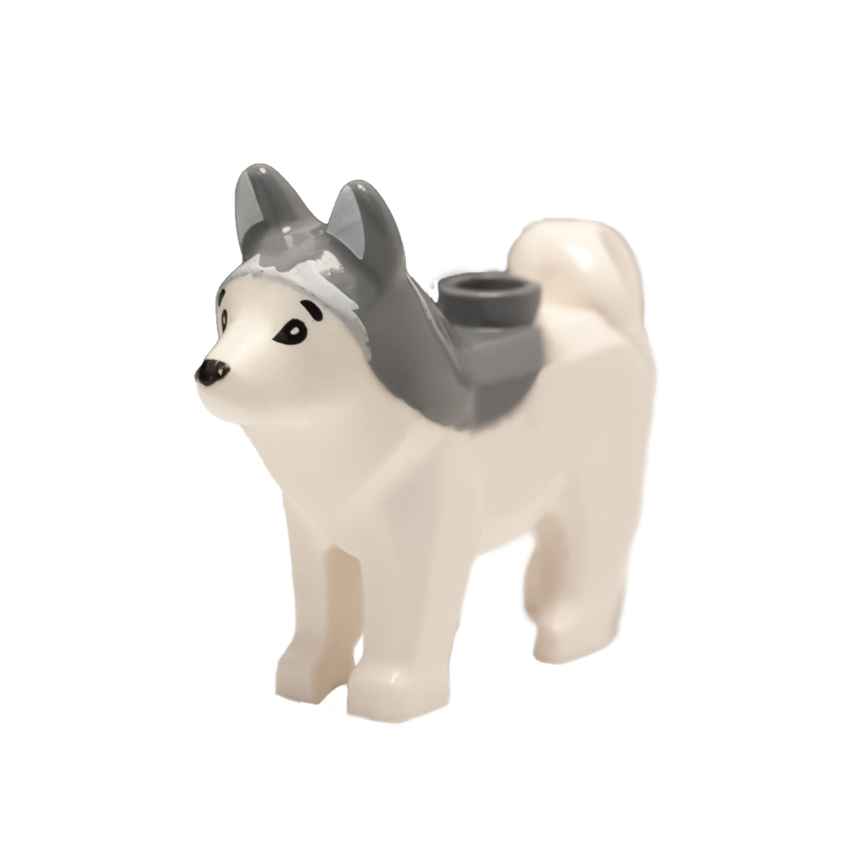 Husky in Miniatur Form für Groß und Klein