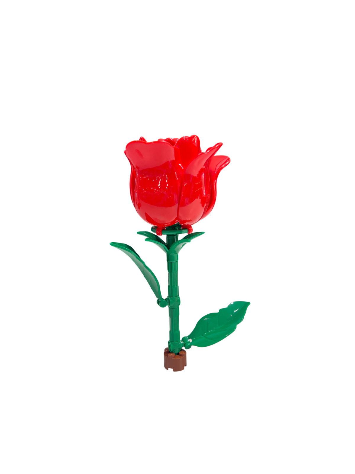 Rote / Red Rose 11543