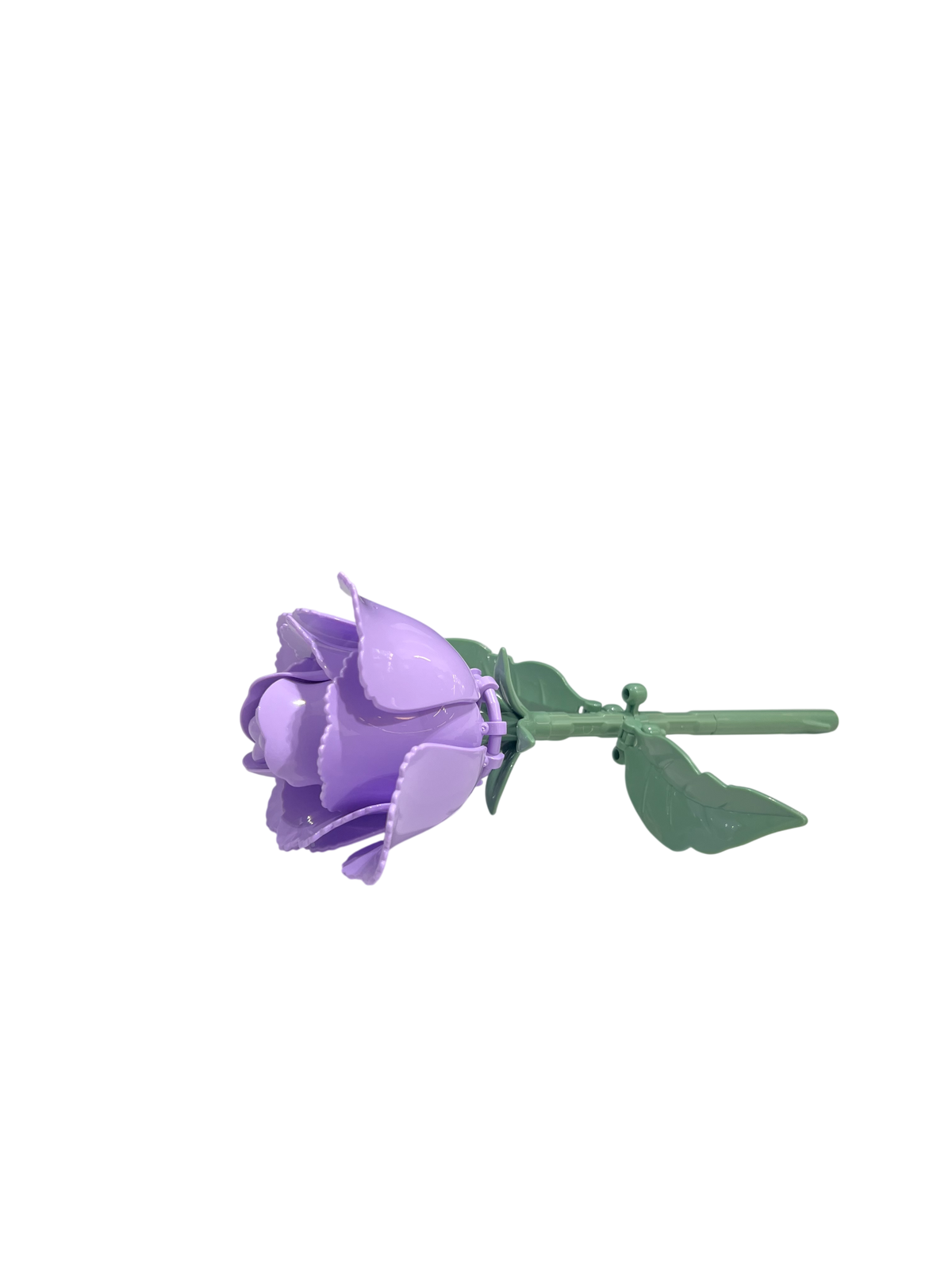 Prärie-Glockenblume / Eustoma 11543