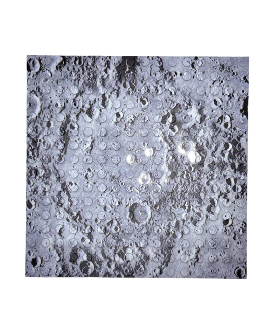 Viererset Bedruckte Bauplatten, Platte 16x16 Noppen (je. 4x) - Reptim