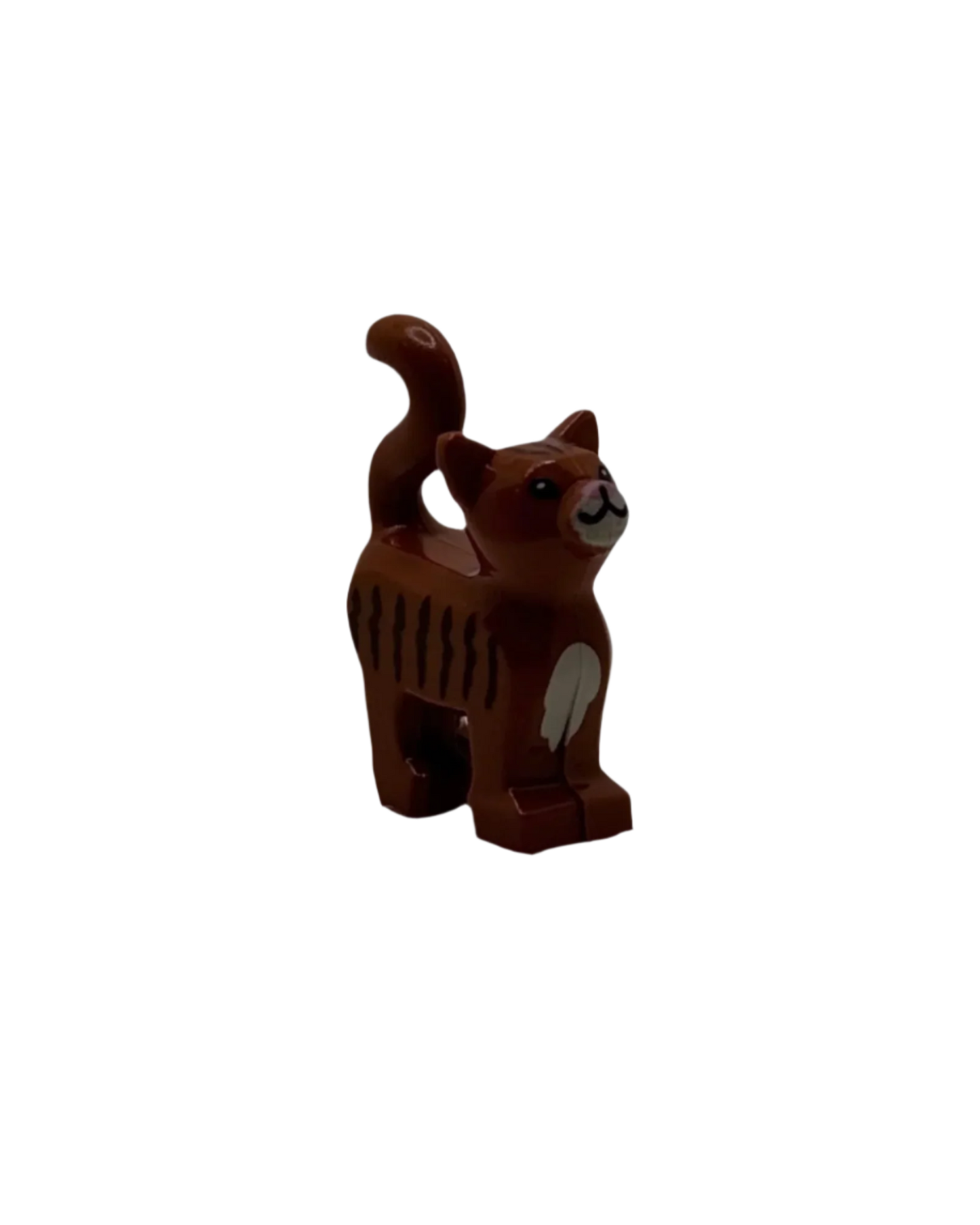 Katze Orange / Braun - Reptim