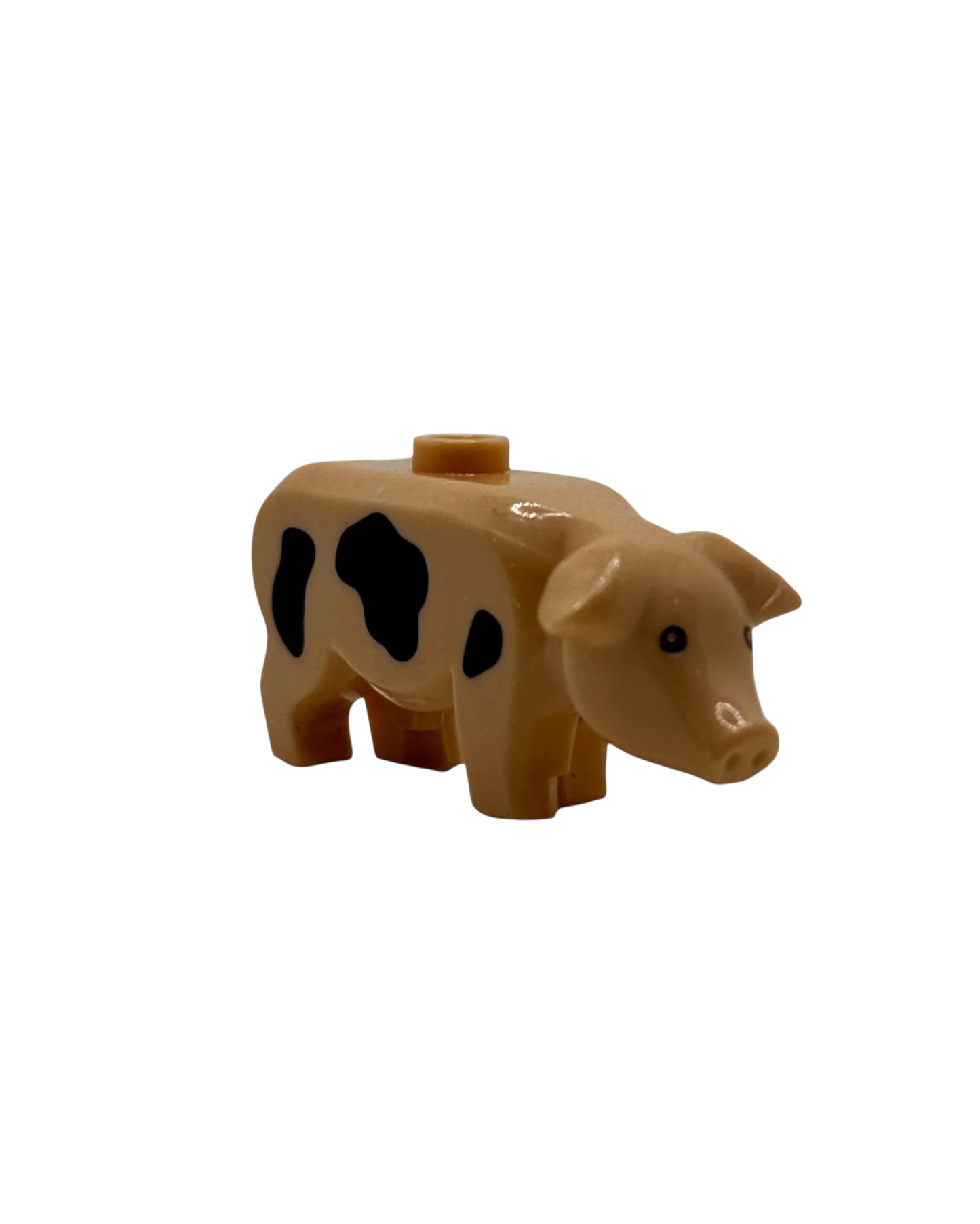 Schwein Beige / Schwarz