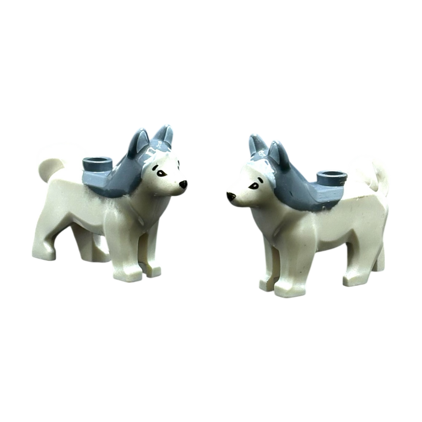 Husky