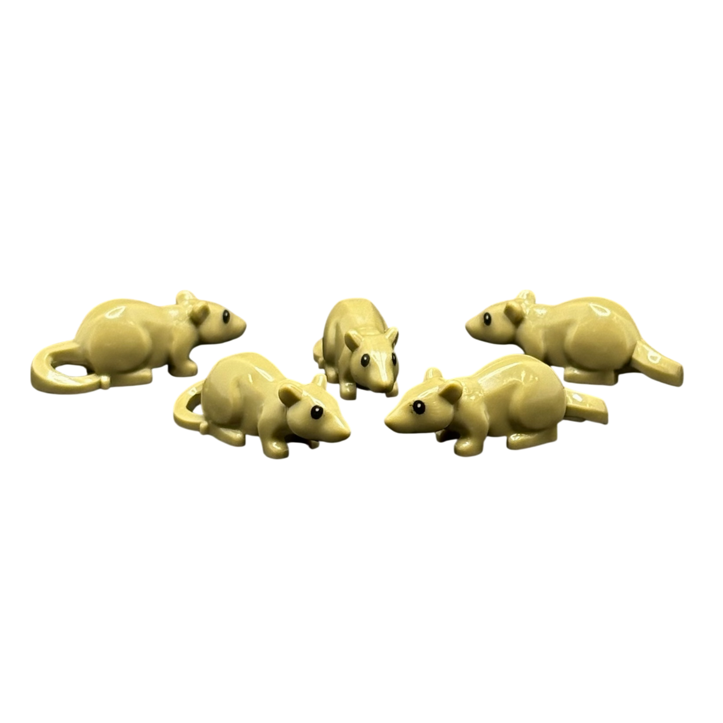 Ratte