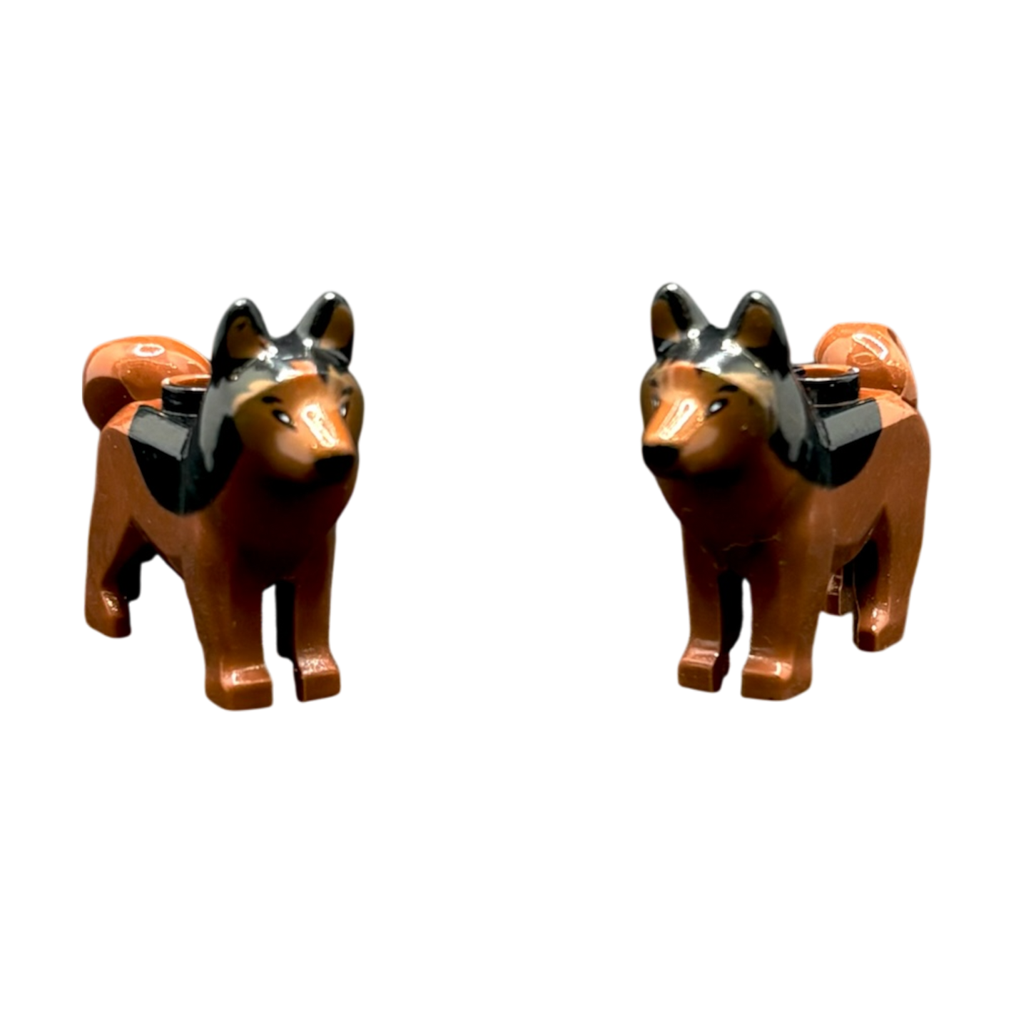 Schäferhund