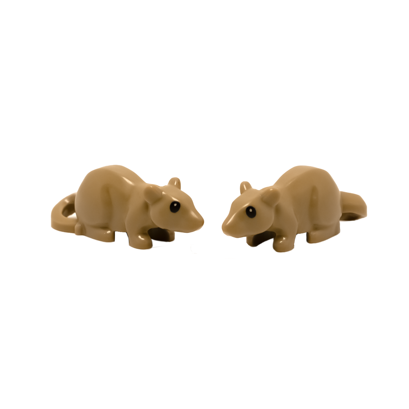 Ratte in Miniatur Form für Groß und Klein