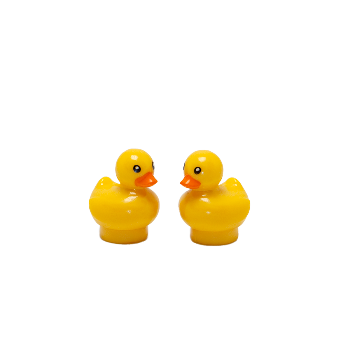 Ente - Reptim