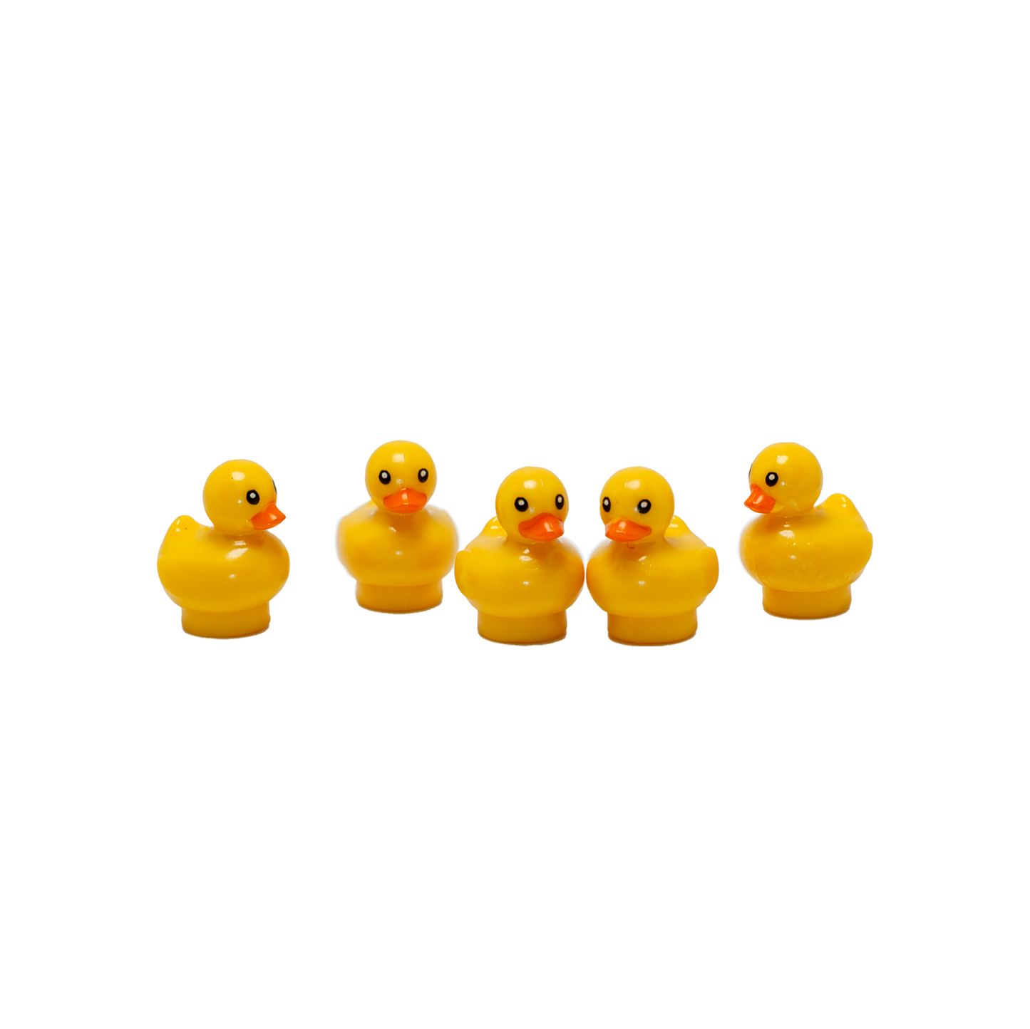 Ente - Reptim