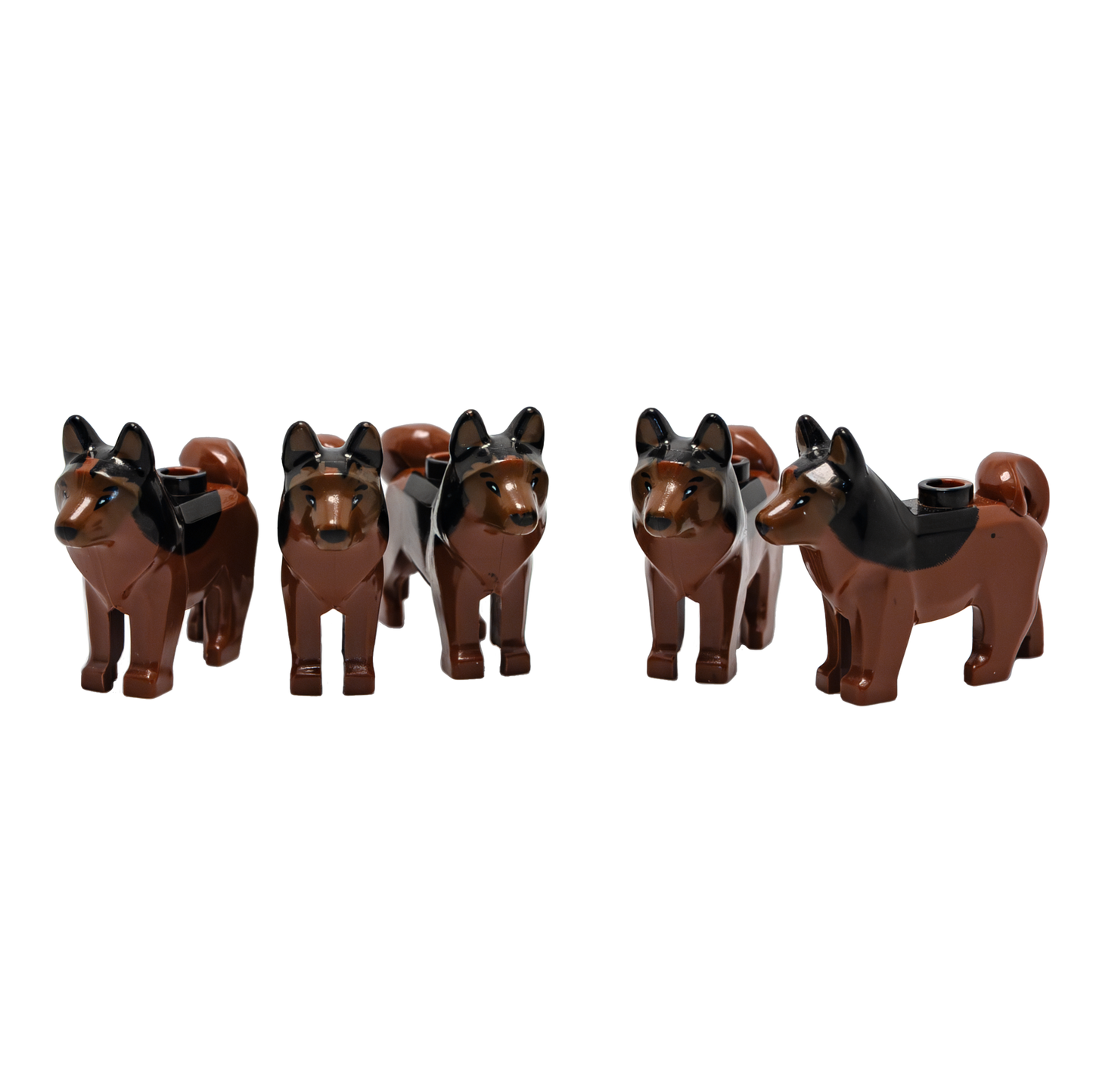 Schaeferhund - Reptim