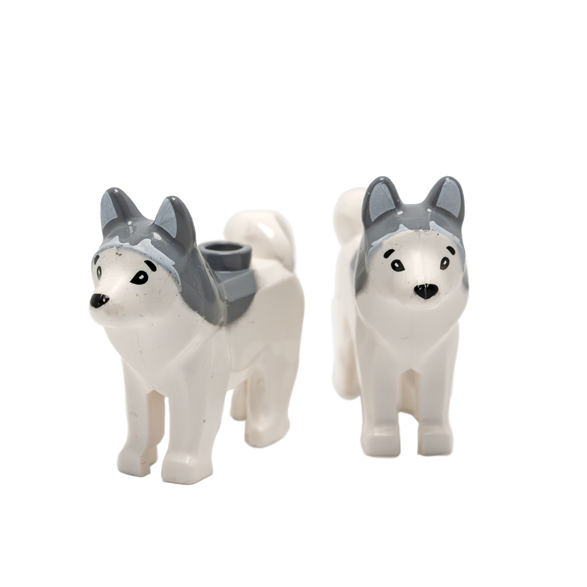 Husky - Reptim