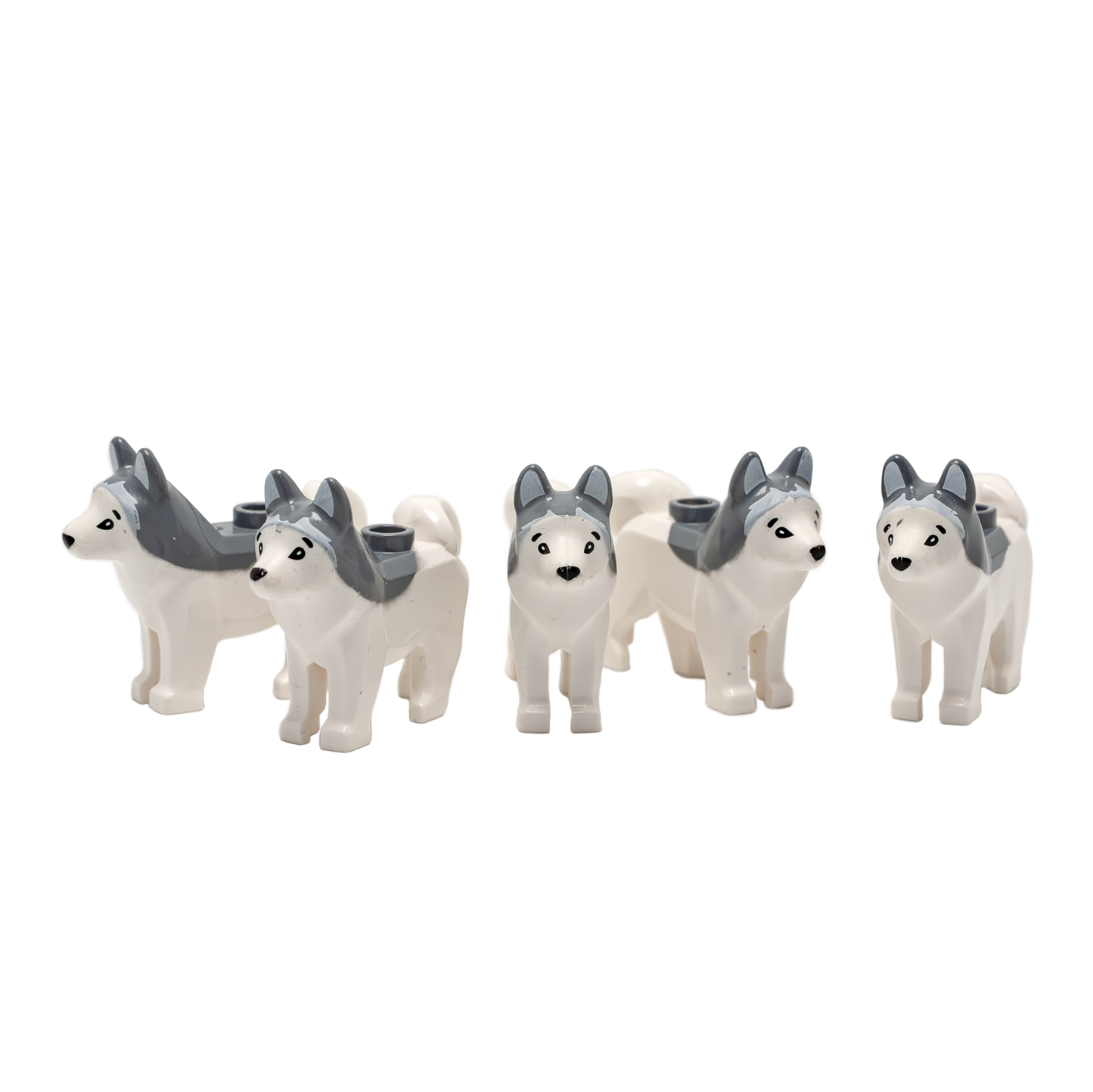 Husky - Reptim