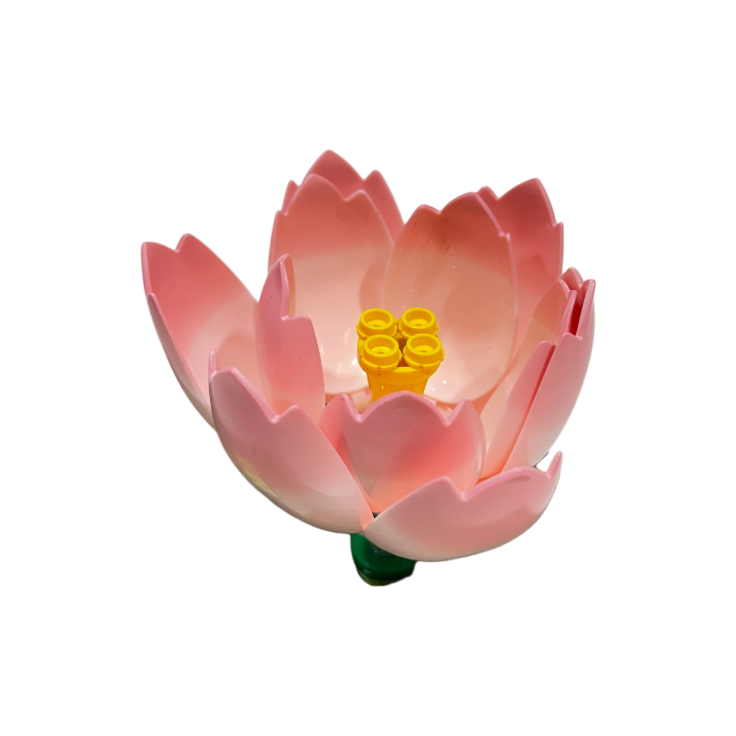 WOMA Seerose / Lotus 11543