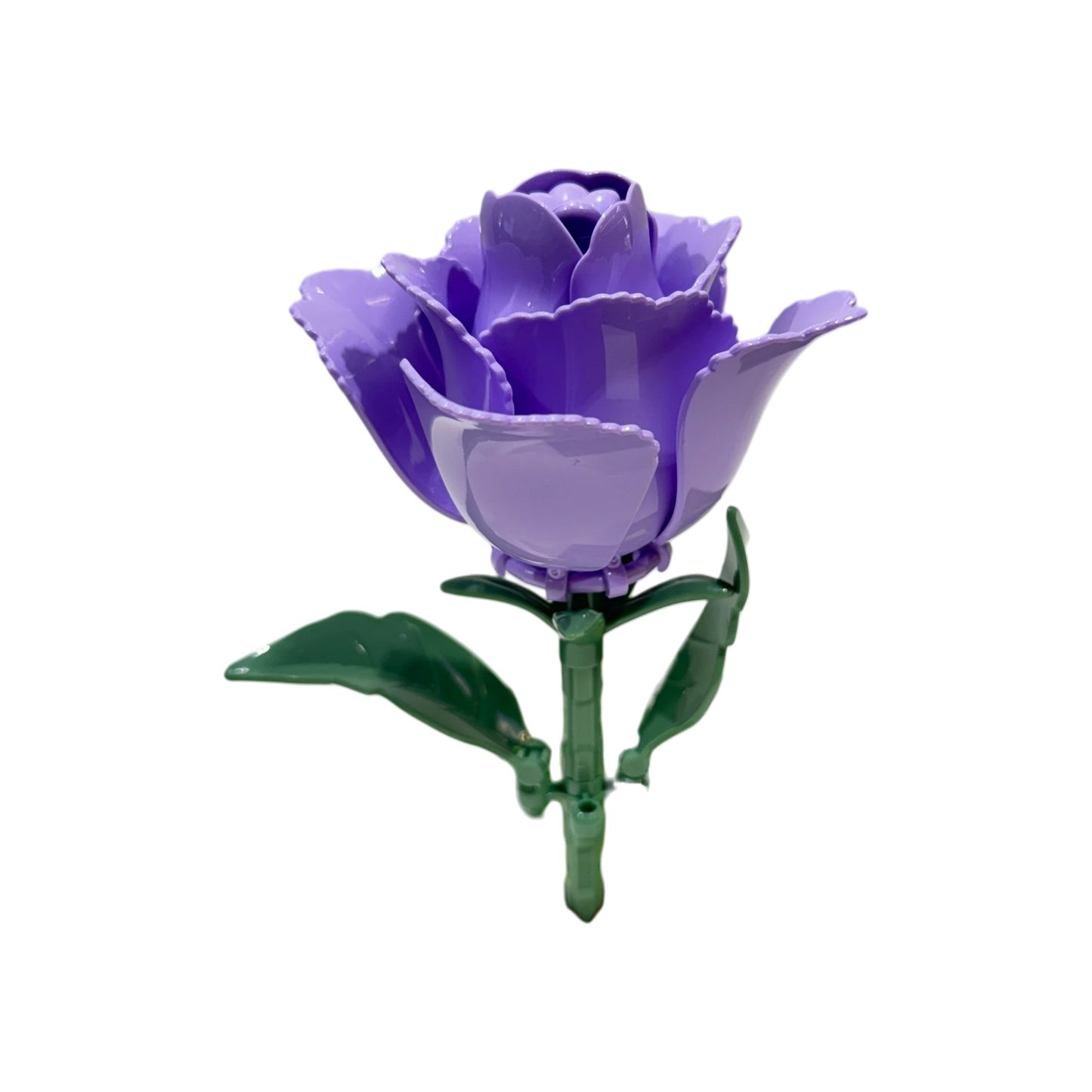 WOMA Prärie-Glockenblume / Eustoma 11543