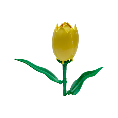 Tulpe / Tulip 11543