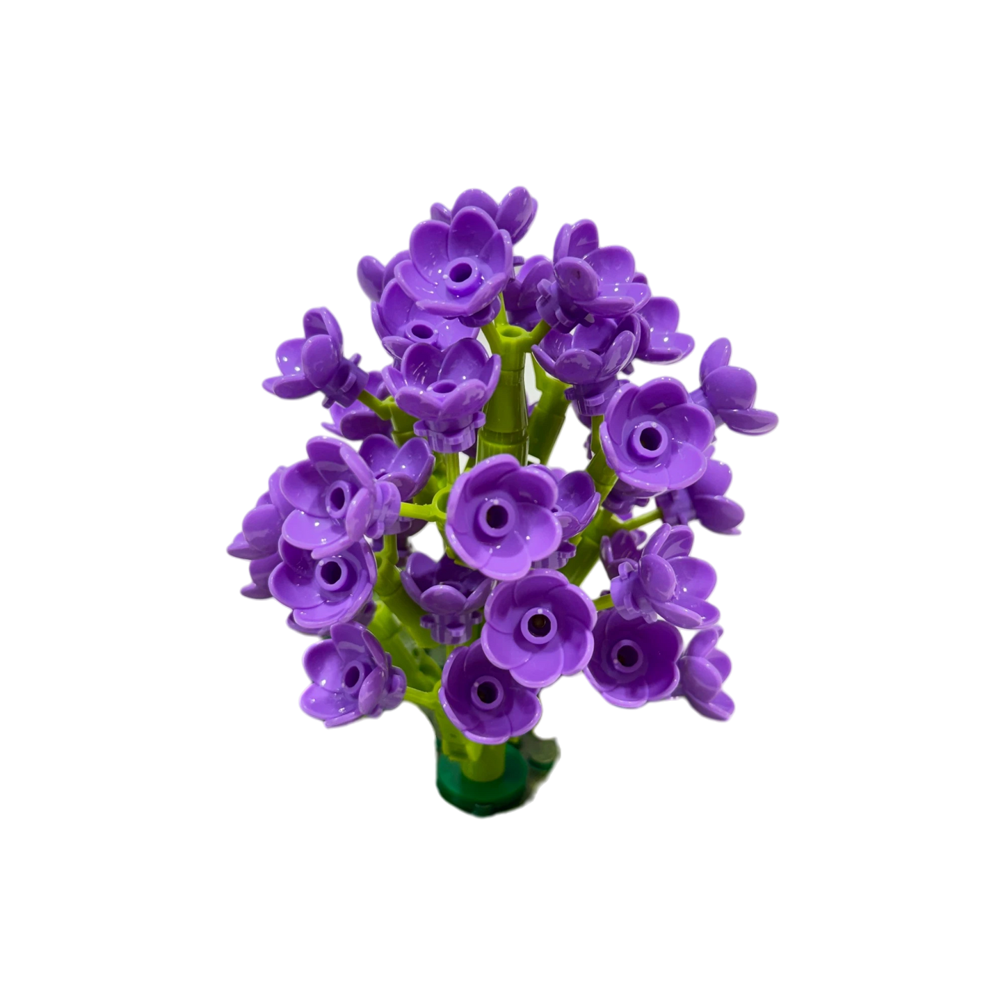 WOMA Schmetterlingsflieder / Violet Lilac 11543