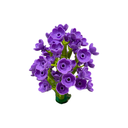 Schmetterlingsflieder / Violet Lilac 11543