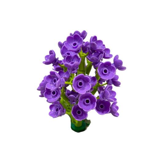 Schmetterlingsflieder / Violet Lilac 11543