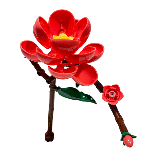 Kamelie / Camellia 11543