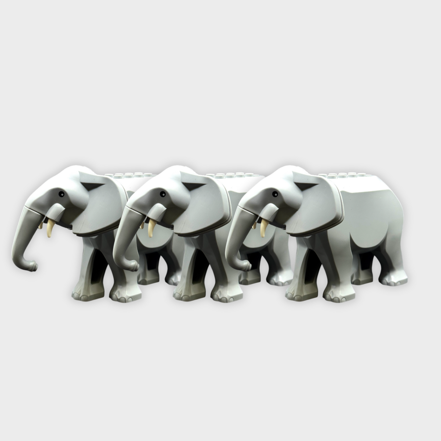 Elefant