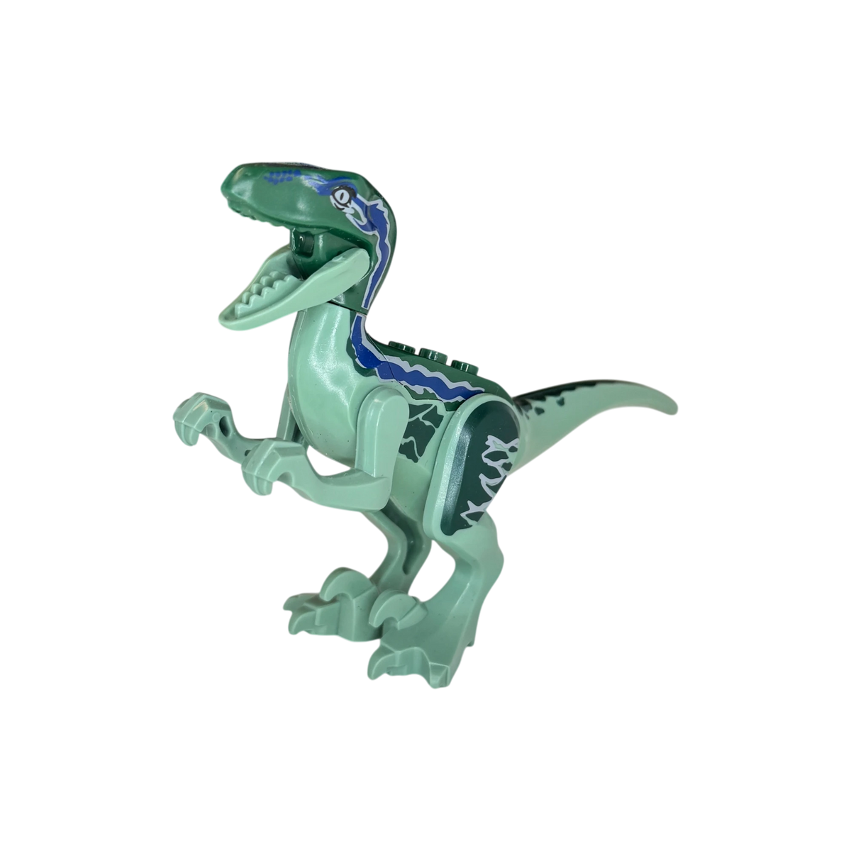 Velociraptor / Grün