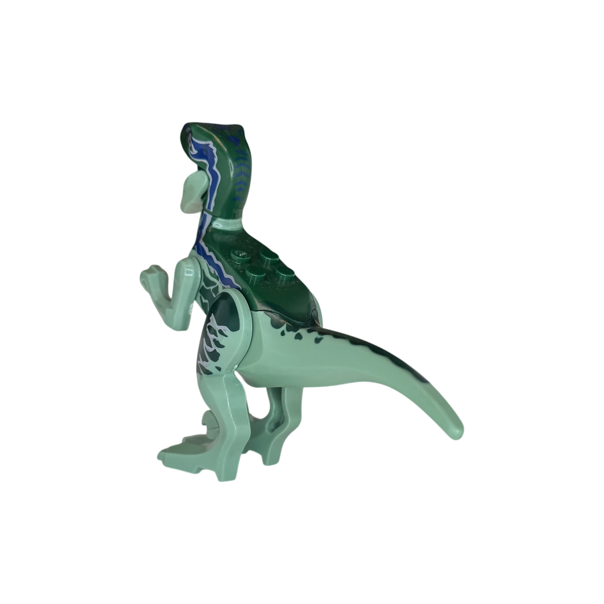 Velociraptor / Grün