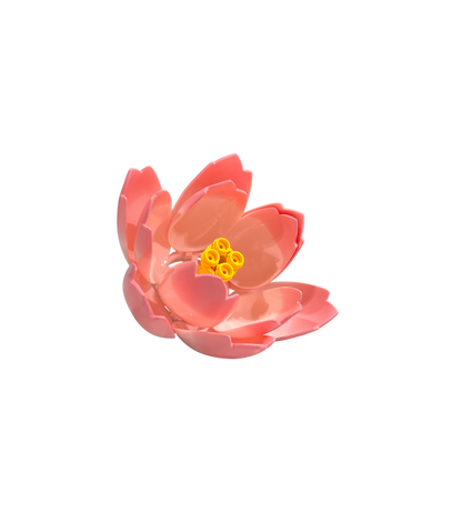 Seerose / Lotus 11543