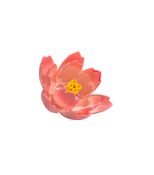 Seerose / Lotus 11543
