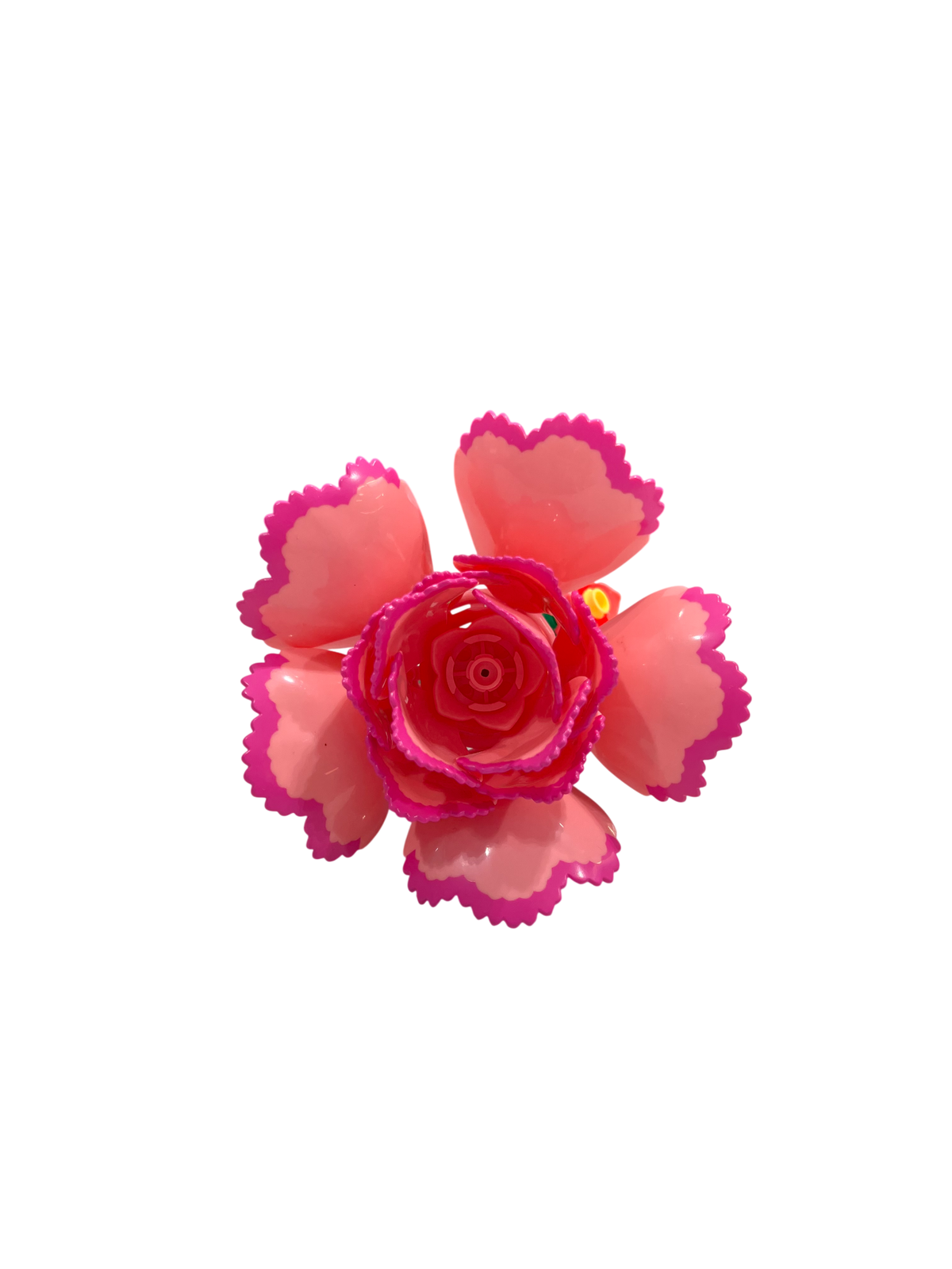 Nelke / Carnation 11543