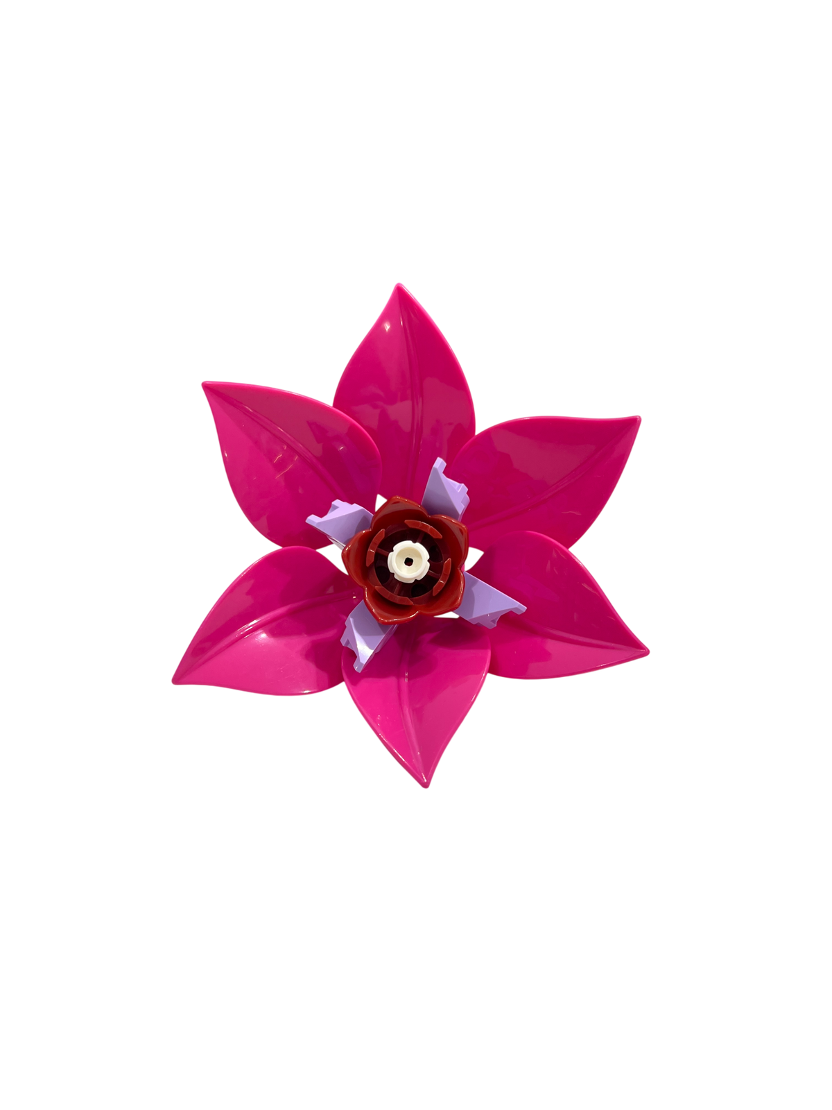 Rote Triteleie / Triteleia Laxa 11543