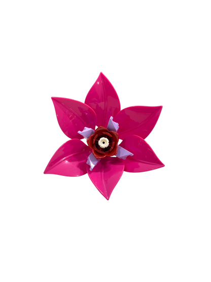 Rote Triteleie / Triteleia Laxa 11543