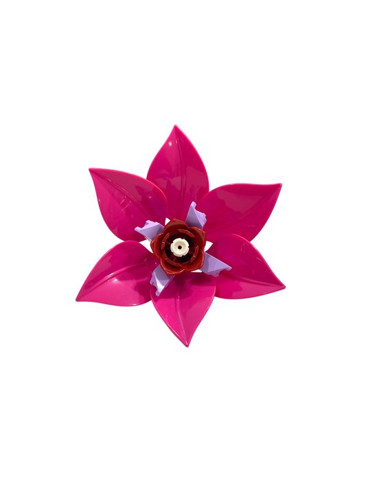 Rote Triteleie / Triteleia Laxa 11543