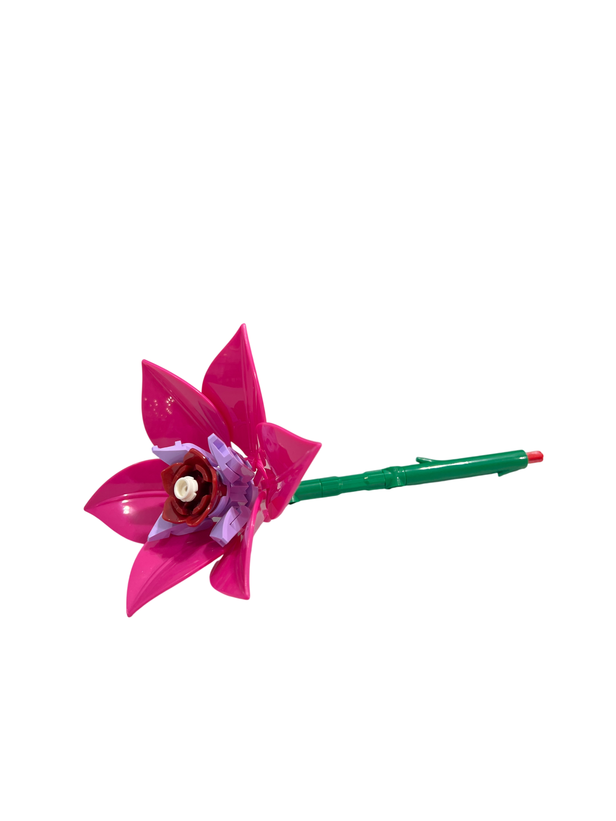 Rote Triteleie / Triteleia Laxa 11543