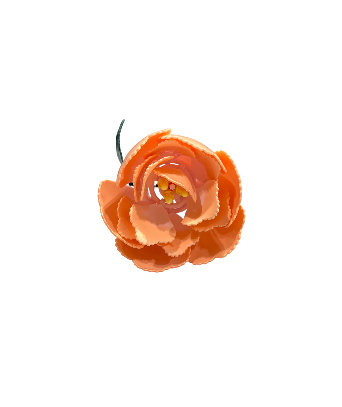 Pfingstrose / Peony 11543