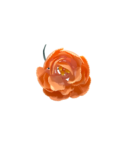 Pfingstrose / Peony 11543