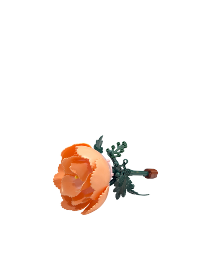 Pfingstrose / Peony 11543