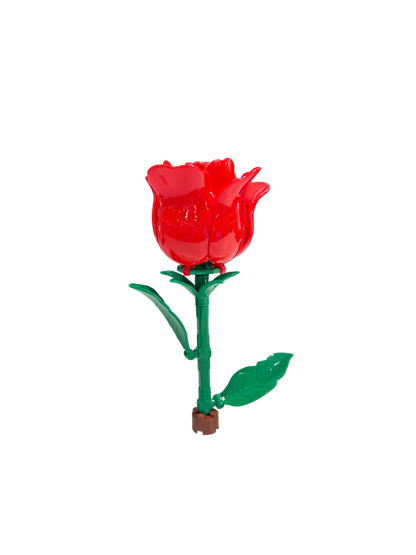 Rote / Red Rose 11543