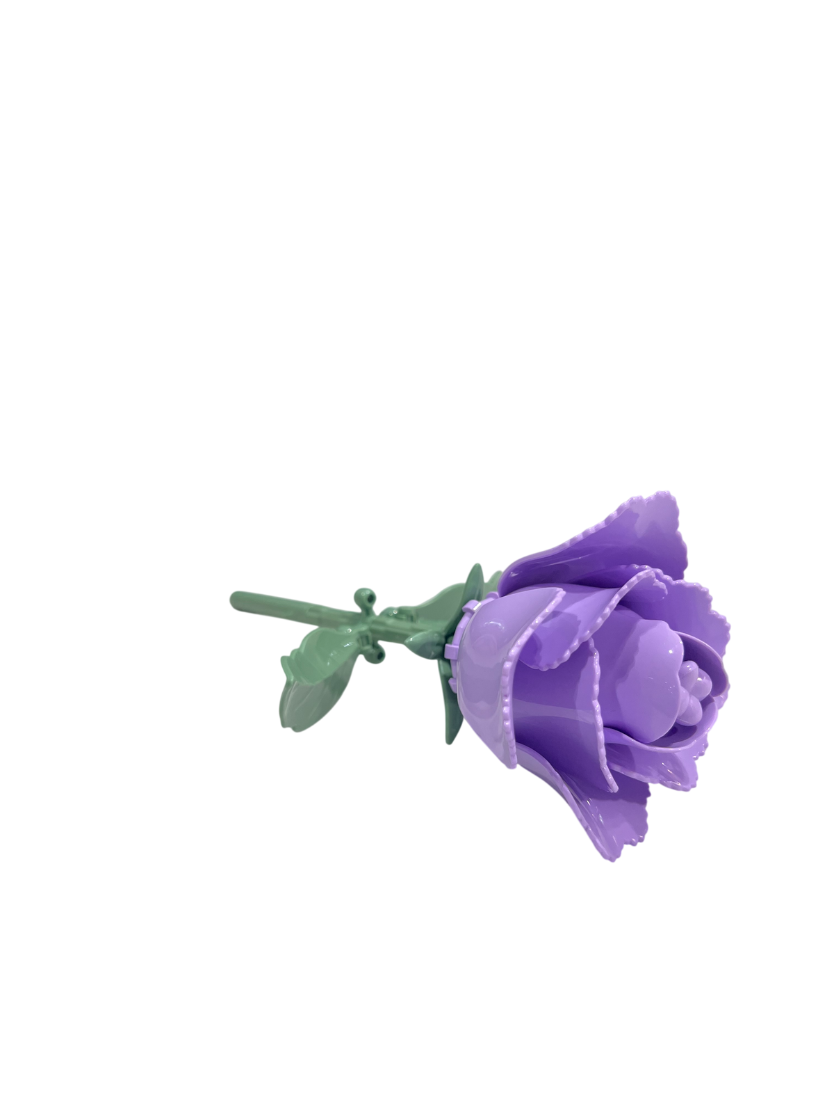 Prärie-Glockenblume / Eustoma 11543