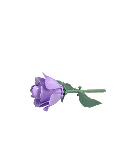 Prärie-Glockenblume / Eustoma 11543