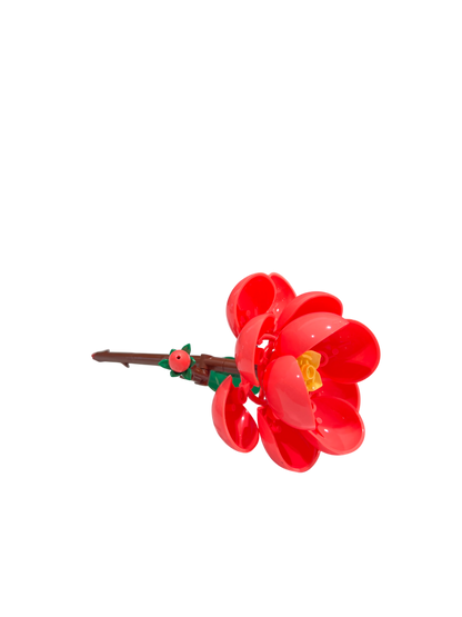 Kamelie / Camellia 11543