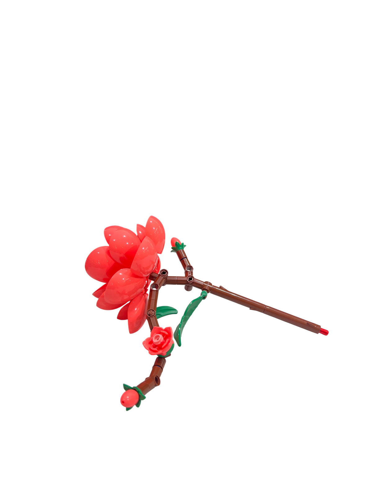 Kamelie / Camellia 11543
