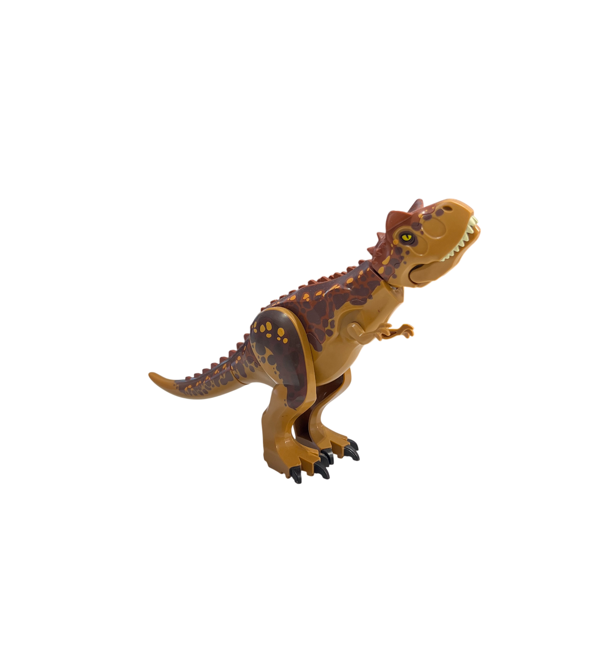 Carnotaurus Figur in Groß für Dinoliebhaber