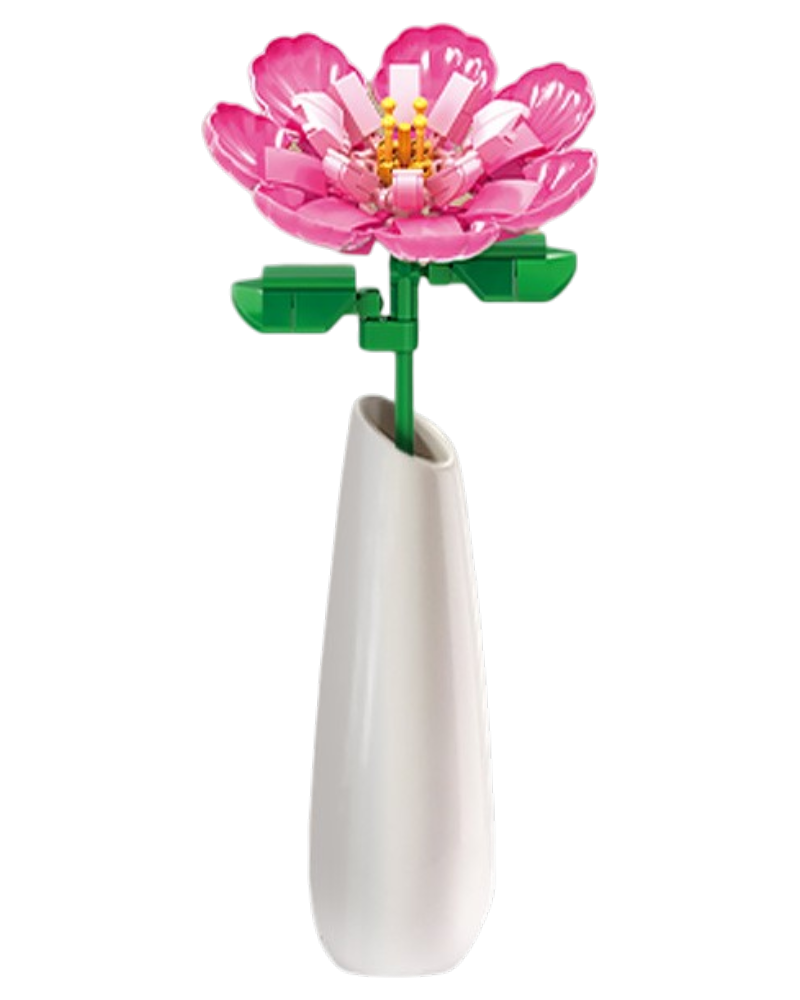 WOMA Magnolie