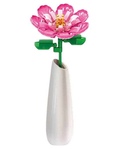 WOMA Magnolie