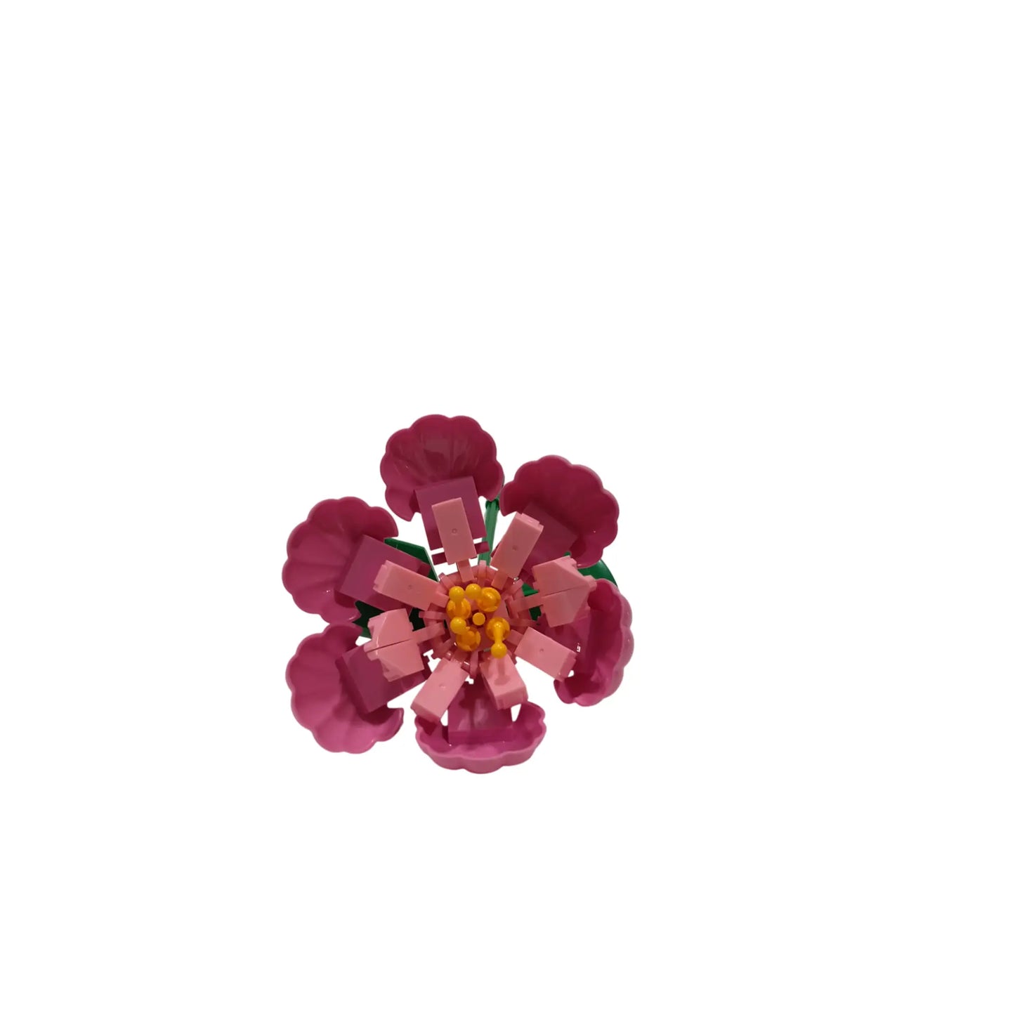 WOMA Magnolie
