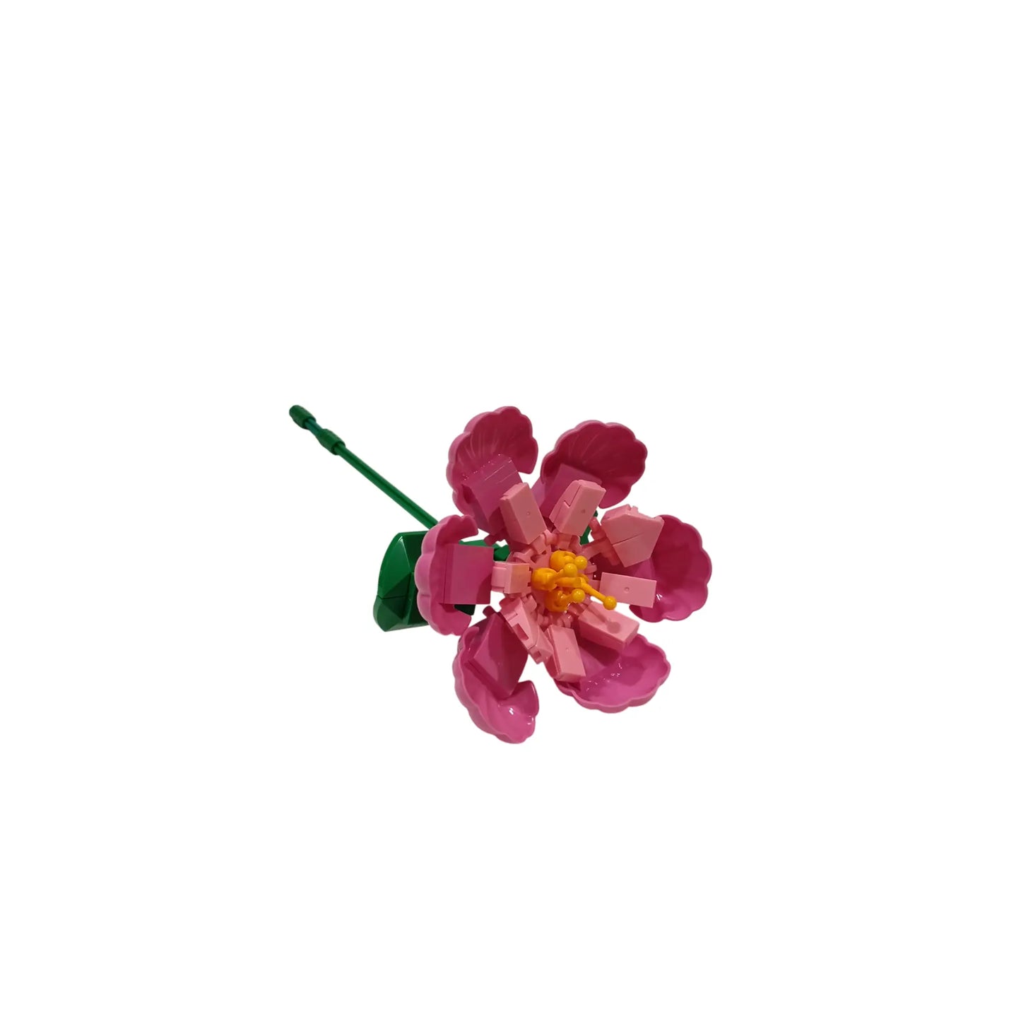 WOMA Magnolie