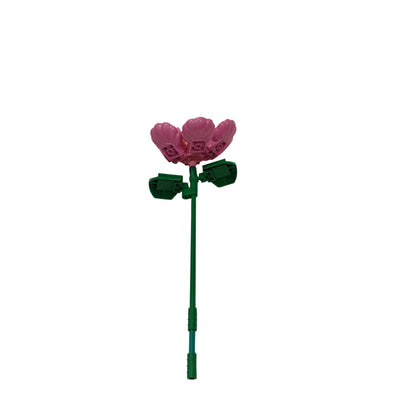 WOMA Magnolie