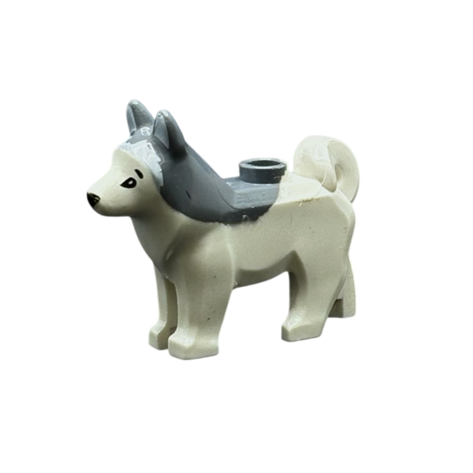 Husky